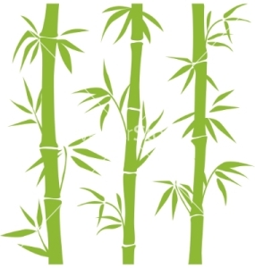 bamboo-vector-405581
